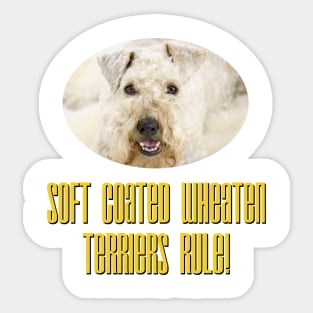 Soft Coated Wheaton Terriers Rule! Sticker